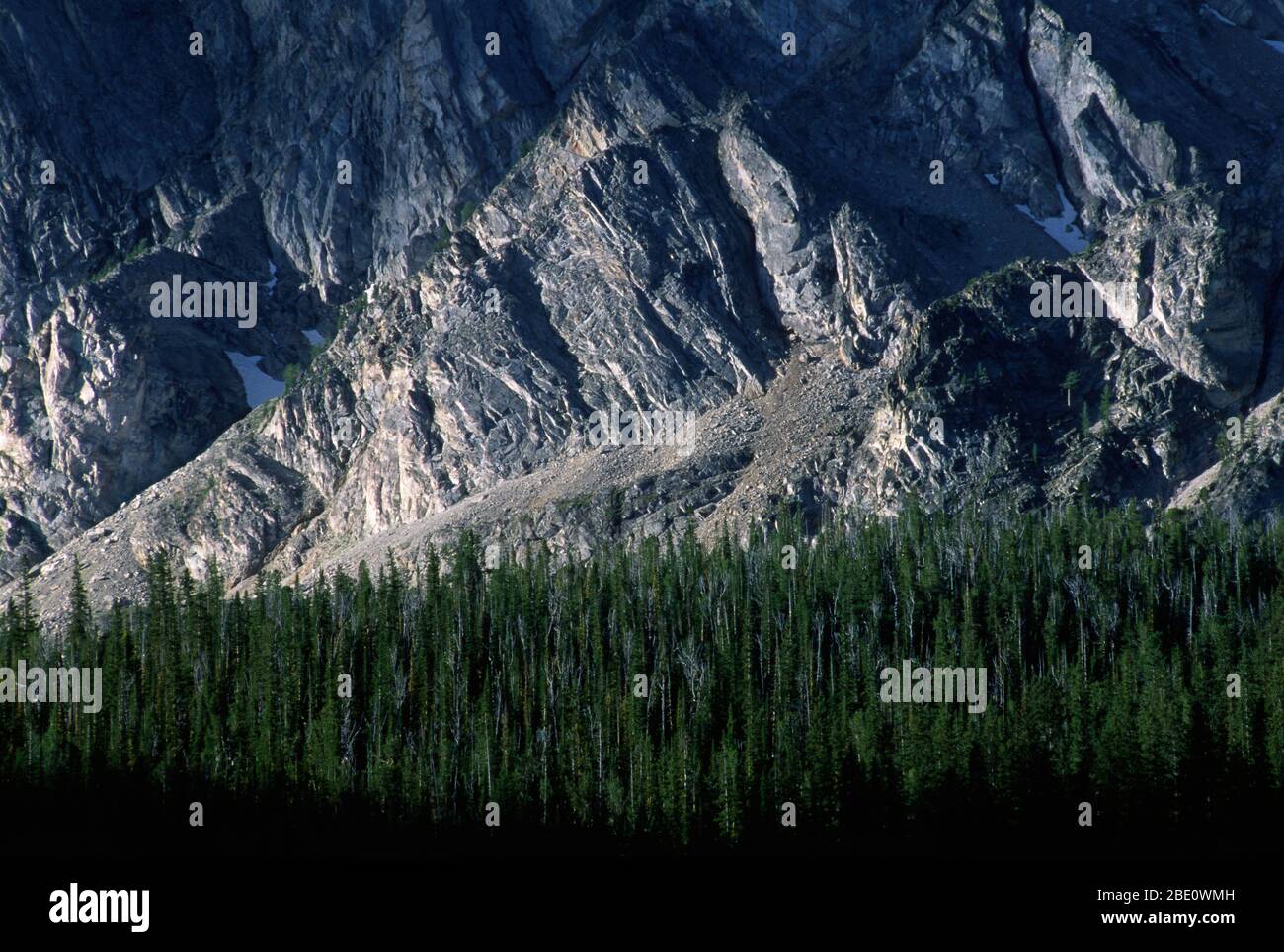 Base di Warren Peak dal lago Carpp, Anaconda-Pintler Wilderness, Beaverhead-Deerlodge National Forest, Montana Foto Stock