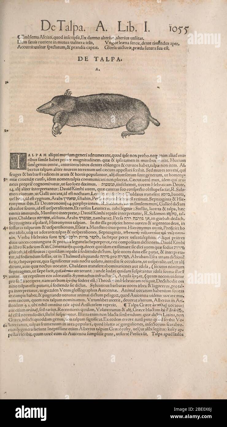 Historia animalium ("Storia degli animali"), pubblicato nel 1551–1558 e nel 1587, da Conrad Gessner. Foto Stock
