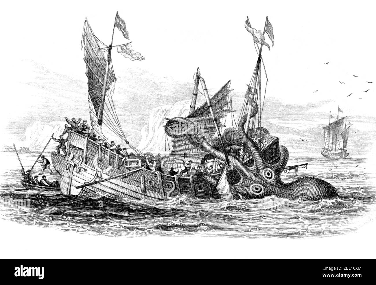 Il calamaro gigante della natura sfuggente e temibile aspetto per lungo tempo hanno fatto un argomento popolare di leggende e racconti popolari. La sua popolarità come immagine continua oggi con i riferimenti e le raffigurazioni in letteratura, il cinema, la televisione e i videogiochi. Spesso il calamaro gigante è rappresentato come nel drammatico, adattato in modo uniforme combattere con un capodoglio. Questo potente immagine non è più considerato accurato data la prova che esiste per un più semplice predatore-preda rapporto tra balena e calamari, con la balena essendo il predatore e il calamaro la preda. Il Kraken è un leggendario mostro marino che ha detto a Foto Stock