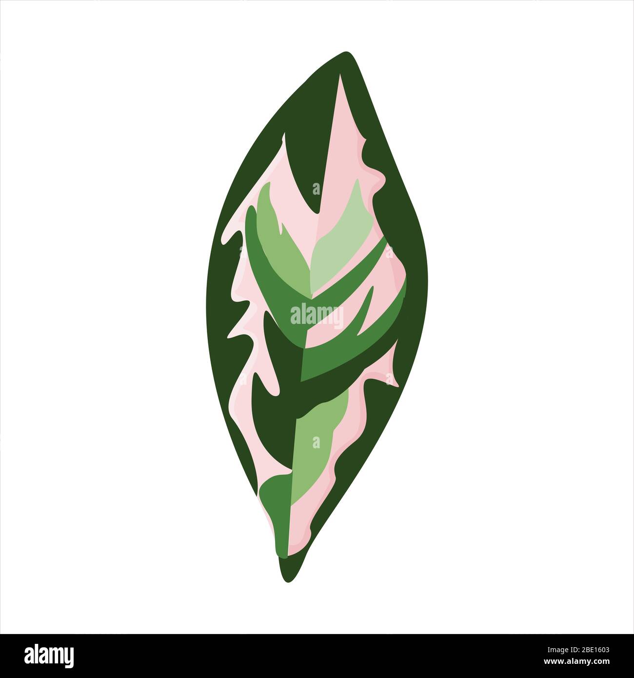 Botanical foglia clip arte illustrazione naturale Illustrazione Vettoriale