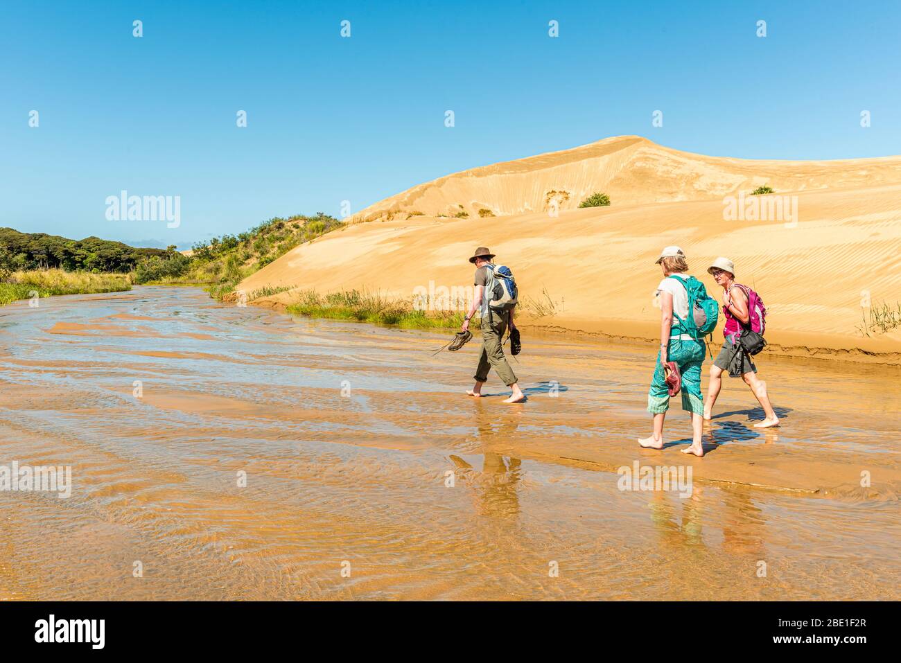 Gli escursionisti a piedi verso il basso il Te Paki Stream, vicino a novanta miglia di spiaggia, Isola del nord, Nuova Zelanda Foto Stock