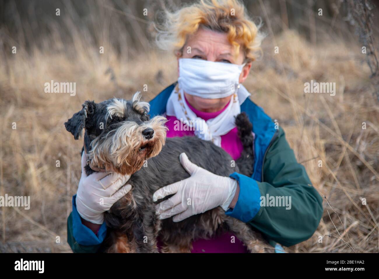 Una donna anziana in una maschera medica protettiva e guanti di gomma su una passeggiata con un cane. Foto Stock