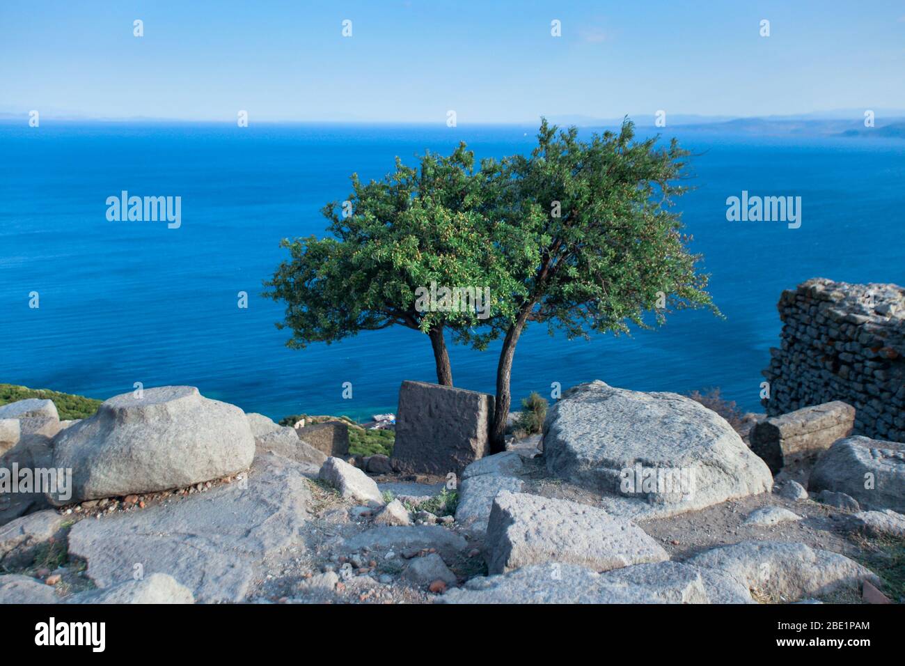 Ulivi in cima a una collina. Mar Egeo con colore blu freddo sullo sfondo. Vecchie grandi pietre antiche si siede intorno agli alberi. Foto Stock