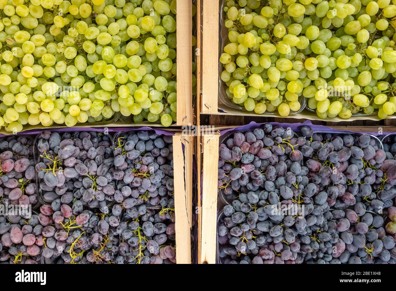 Bellissimi grappoli di uve bianche e blu sul mercato agricolo Foto Stock