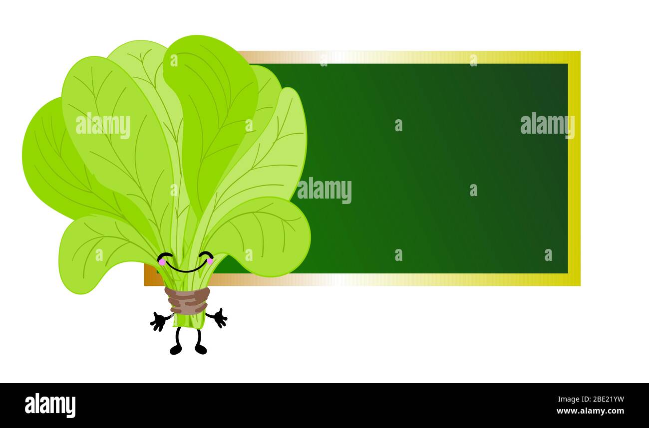 Funghi autunnali sullo sfondo del tabellone della scuola in gesso. Poster di apprendimento orizzontale con spazio per il testo. Illustrazione Vettoriale