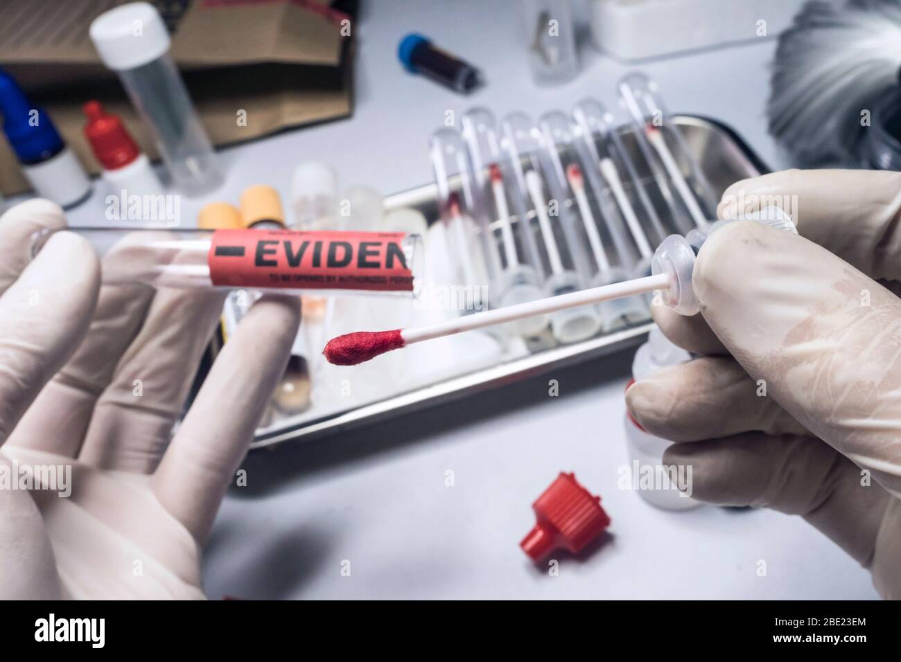 Criminologia funzionario di polizia tagli con una forbice di issopo con il campione di sangue da analizzare in laboratorio, immagine concettuale Foto Stock