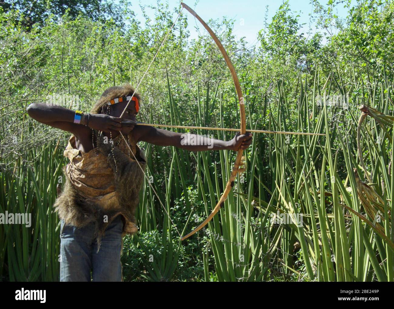 Hadza (Hadzabe) uomo che mira una freccia verso un uccello durante una spedizione di caccia. Hatzabe è una piccola tribù di cacciatori raccoglitori in Africa orientale. Fotografato Foto Stock