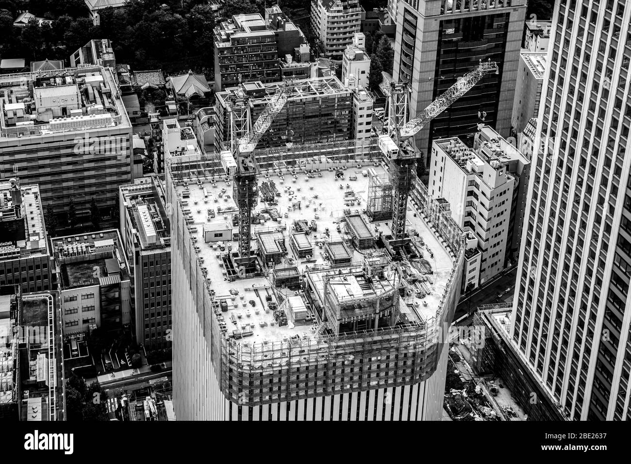 Due gru torre rosse spostano carichi sopra un grattacielo in costruzione, costruito per essere antisismico, a Minato, Tokyo, Giappone. Operai edili e contenitori di materiale sono visibili sul tetto aperto dell'ultimo piano. Le cime verdi degli alberi di un complesso templare arrivano fino al bordo dell'edificio in basso a sinistra. Foto Stock