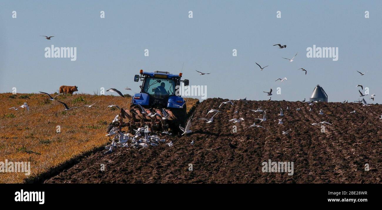 Magheralin, Contea di Armagh, Irlanda del Nord. 11 Aprile 2020. Tempo nel Regno Unito - dopo la pioggia di notte una calda giornata di sole con cielo blu anche se la pioggia ritornerà più tardi. Coltivatore che aratura un campo vicino al villaggio di Magheralin. Credit:CAZIMB/Alamy Live News. Foto Stock