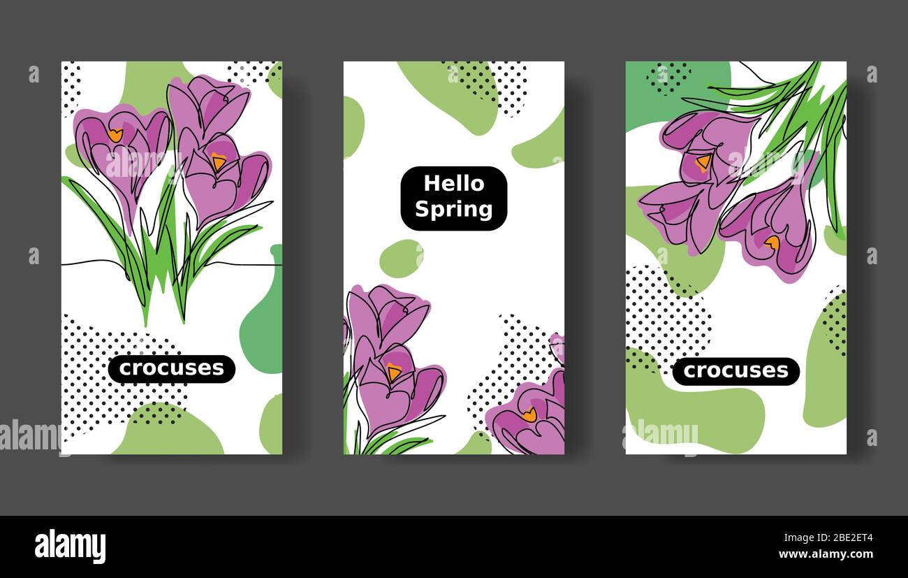 Ciao storie di social media di primavera, modelli. Set di vettori di fiori per croci. Modelli di social media per i post Illustrazione Vettoriale