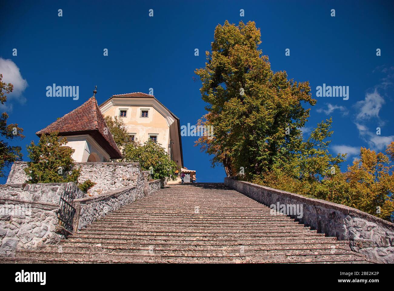 Chiesa del pellegrinaggio dell'Assunzione di Maria sull'Isola di Bled in Slovenia Foto Stock