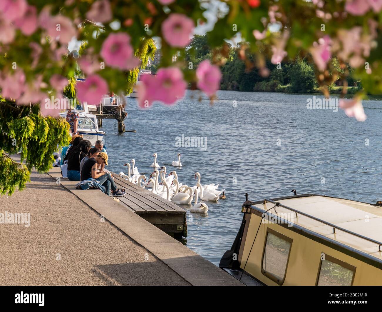 Kingston upon Thames, Londra, Inghilterra - 24 agosto 2019: Giornata di sole tra il Tamigi con turisti seduti sulla riva del fiume ammirando il paesaggio An Foto Stock