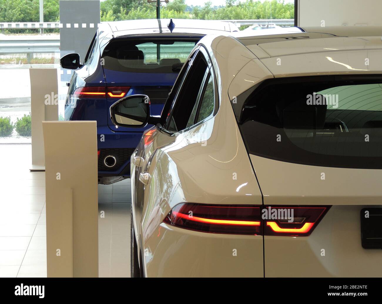 Showroom del concessionario Premium Cars Foto Stock