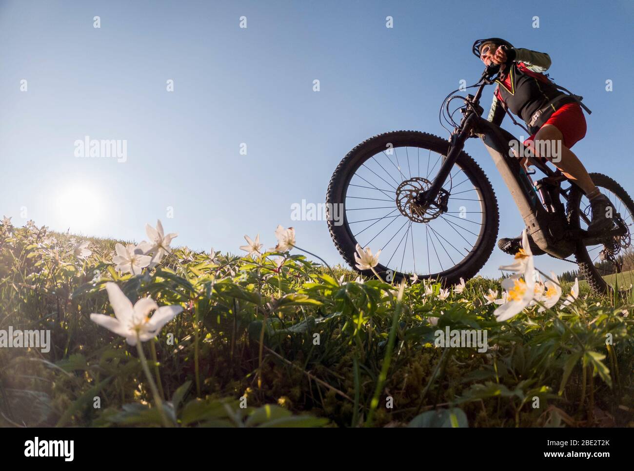 Motocross Della Bicicletta Immagini e Fotos Stock - Alamy