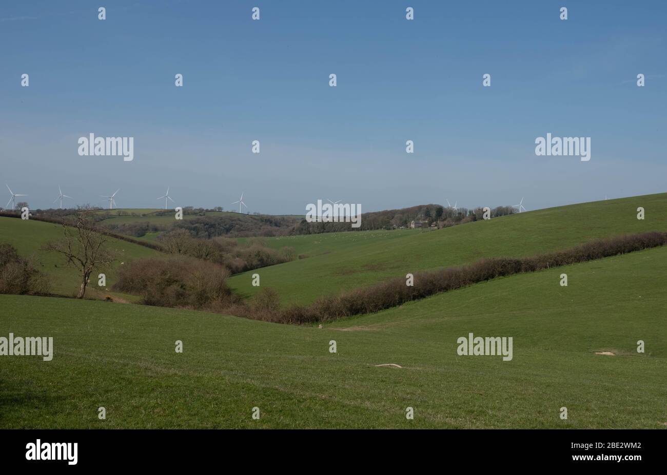 Paesaggio dolcemente rollante con turbine eoliche sullo sfondo e pecore al pascolo in un campo vicino al villaggio di Marwood nella campagna del Devon settentrionale, Foto Stock