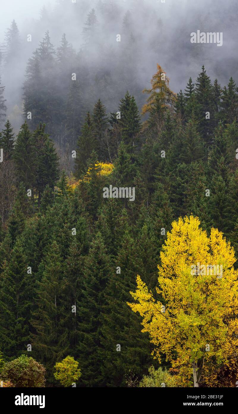 Nuvoloso e nebbioso autunno montagna alpina scena. Alpi austriache Lienzer Dolomiten. Tranquillo viaggio pittoresco, stagionale, natura e campagna bellezza Foto Stock