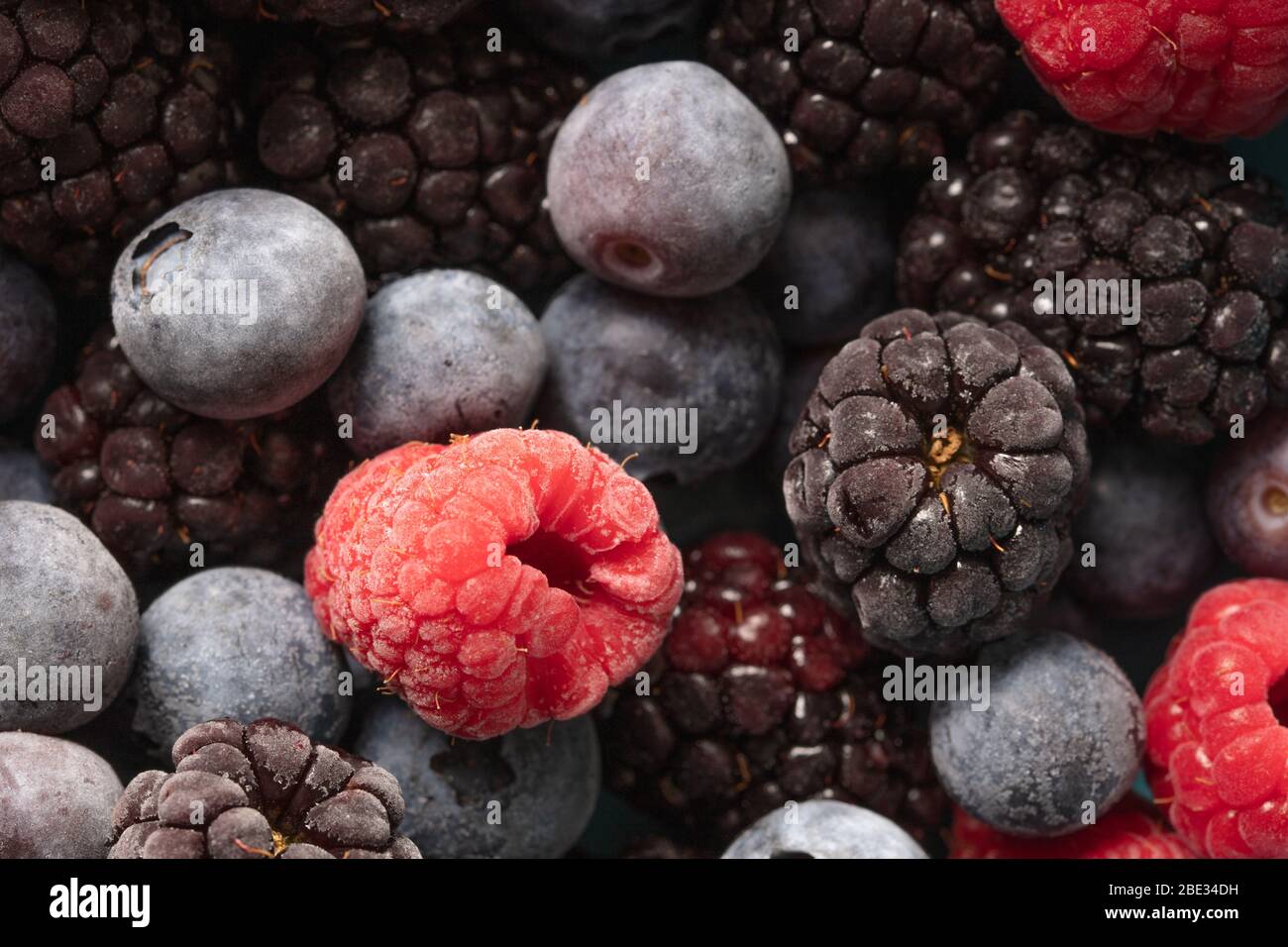 una bella foto di primo piano di frutta, con lamponi, mirtilli e more, studio shot Foto Stock