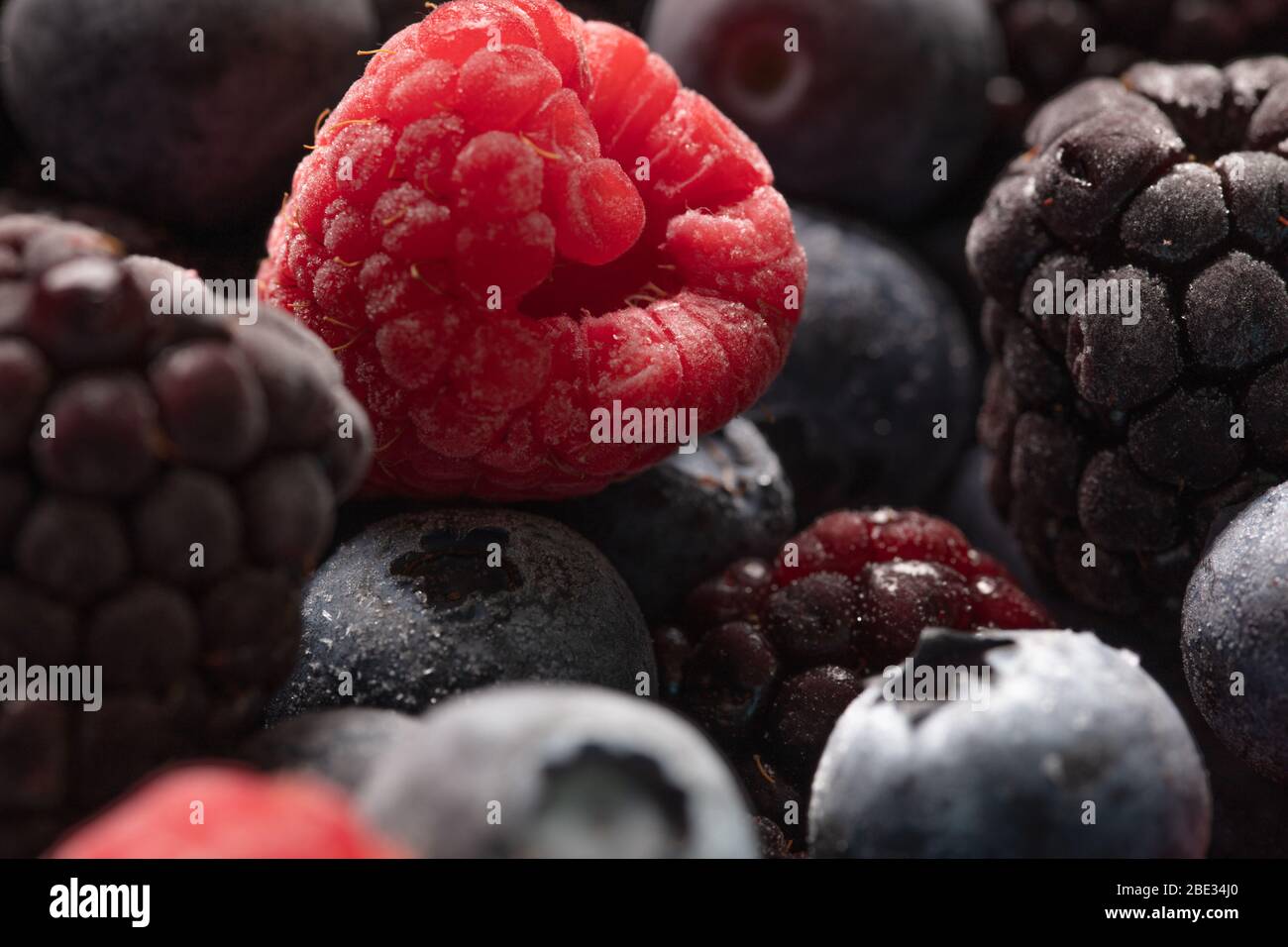 una bella foto di primo piano di frutta, con lamponi, mirtilli e more, studio shot Foto Stock