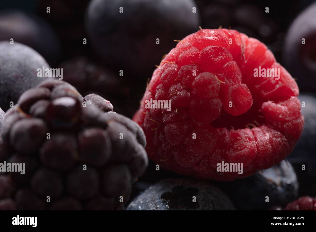 una bella foto di primo piano di frutta, con lamponi, mirtilli e more, studio shot Foto Stock