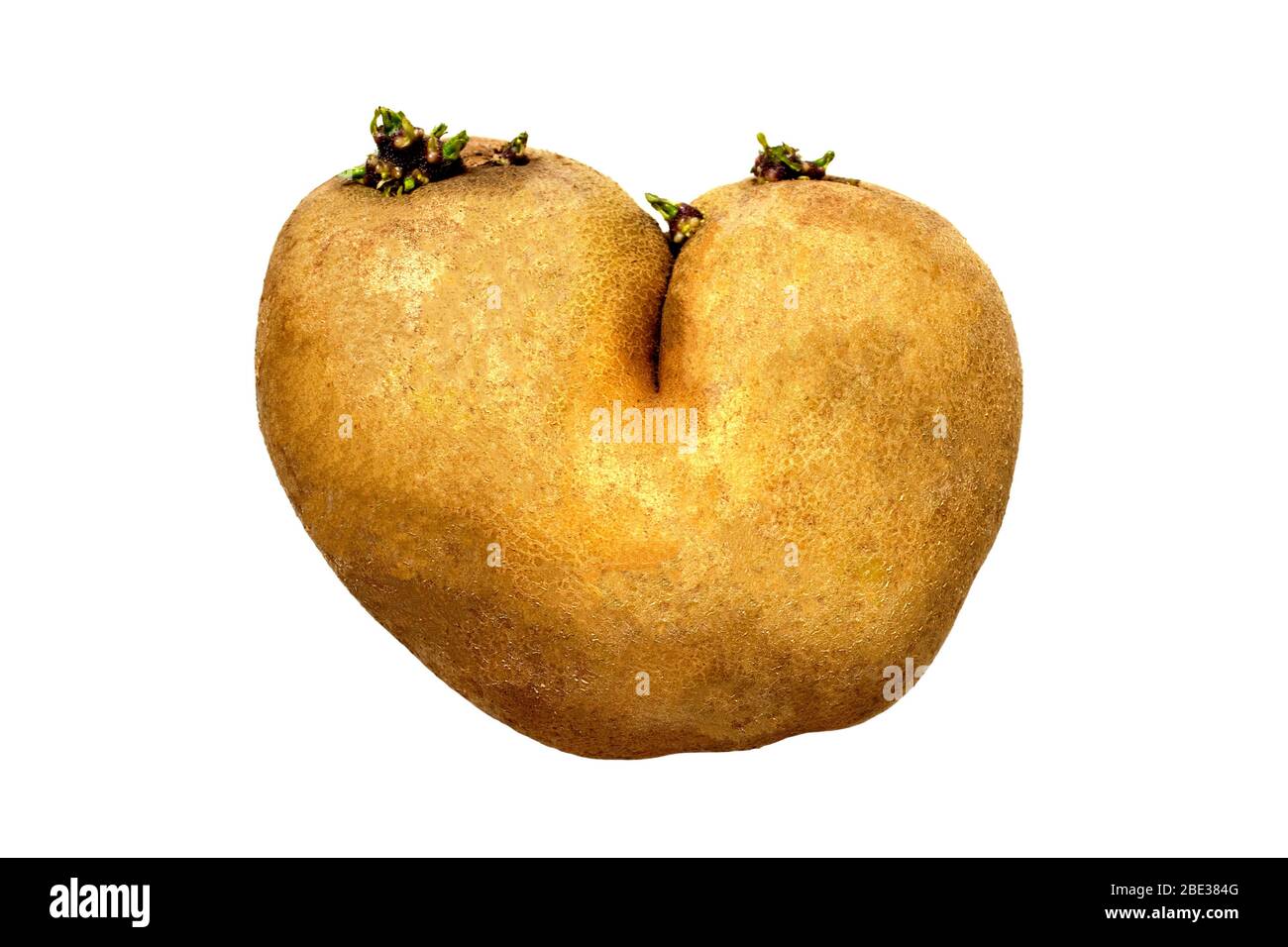 Brutto patata a forma di cuore isolato su sfondo bianco. Verdure divertenti e strane. Rifiuti alimentari e concetto di cibo brutto. A forma di cuore. Foto Stock