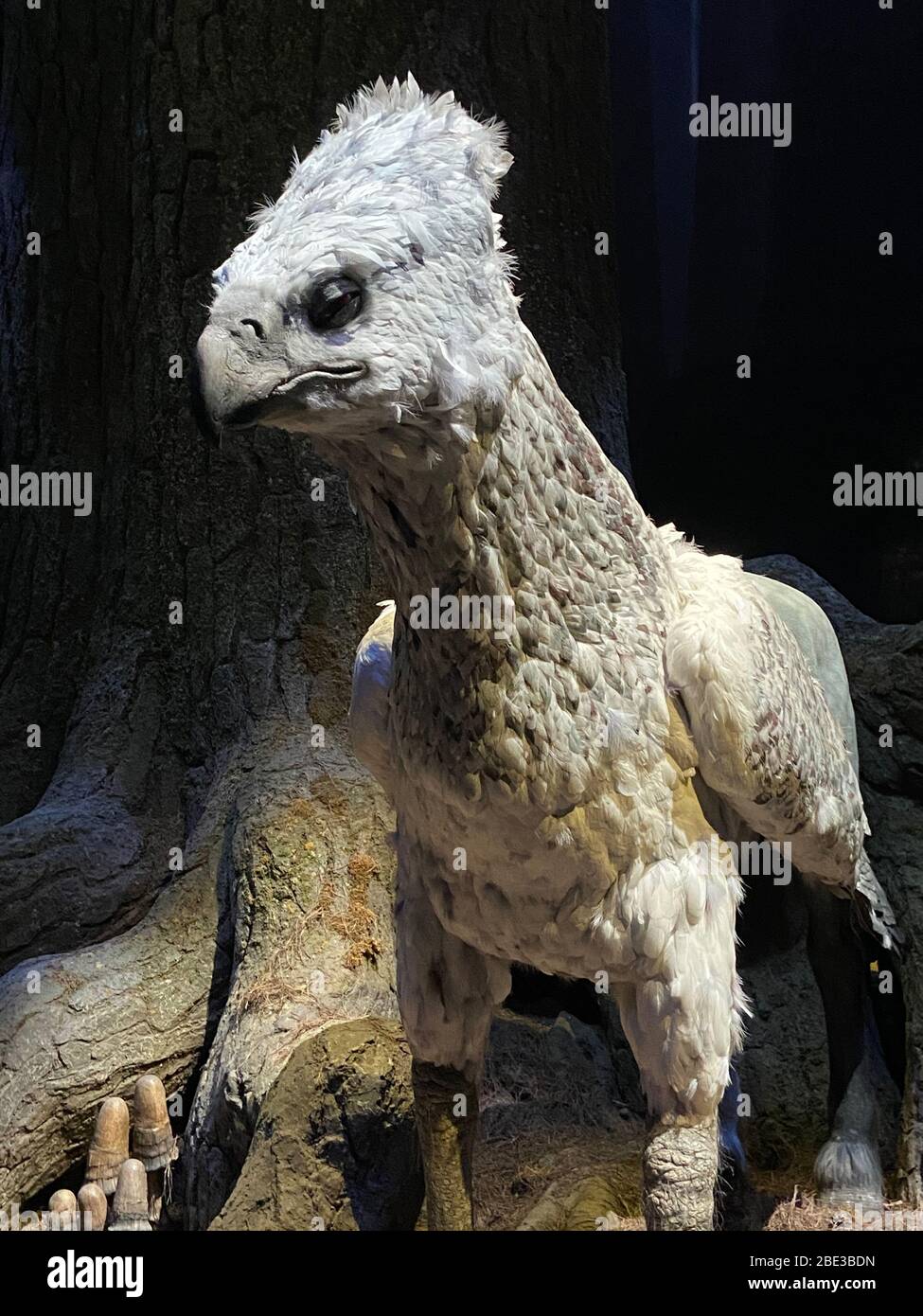 Buckbeak - Tour dello Studio WB di Harry Potter Foto Stock