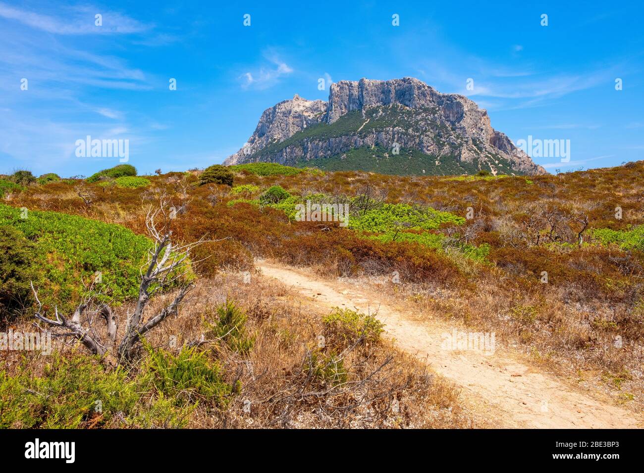 Vista panoramica delle scogliere e delle pendici del massiccio principale, Monte Cannone, dell'isola Tavolara vista dalla riserva naturale di Spalmatore di Terra sul Tyrrrrr Foto Stock