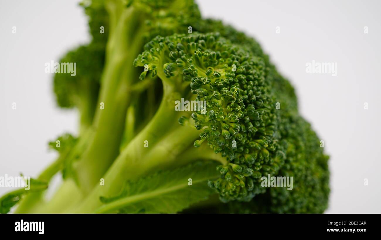 Un gambo di broccoli Foto Stock