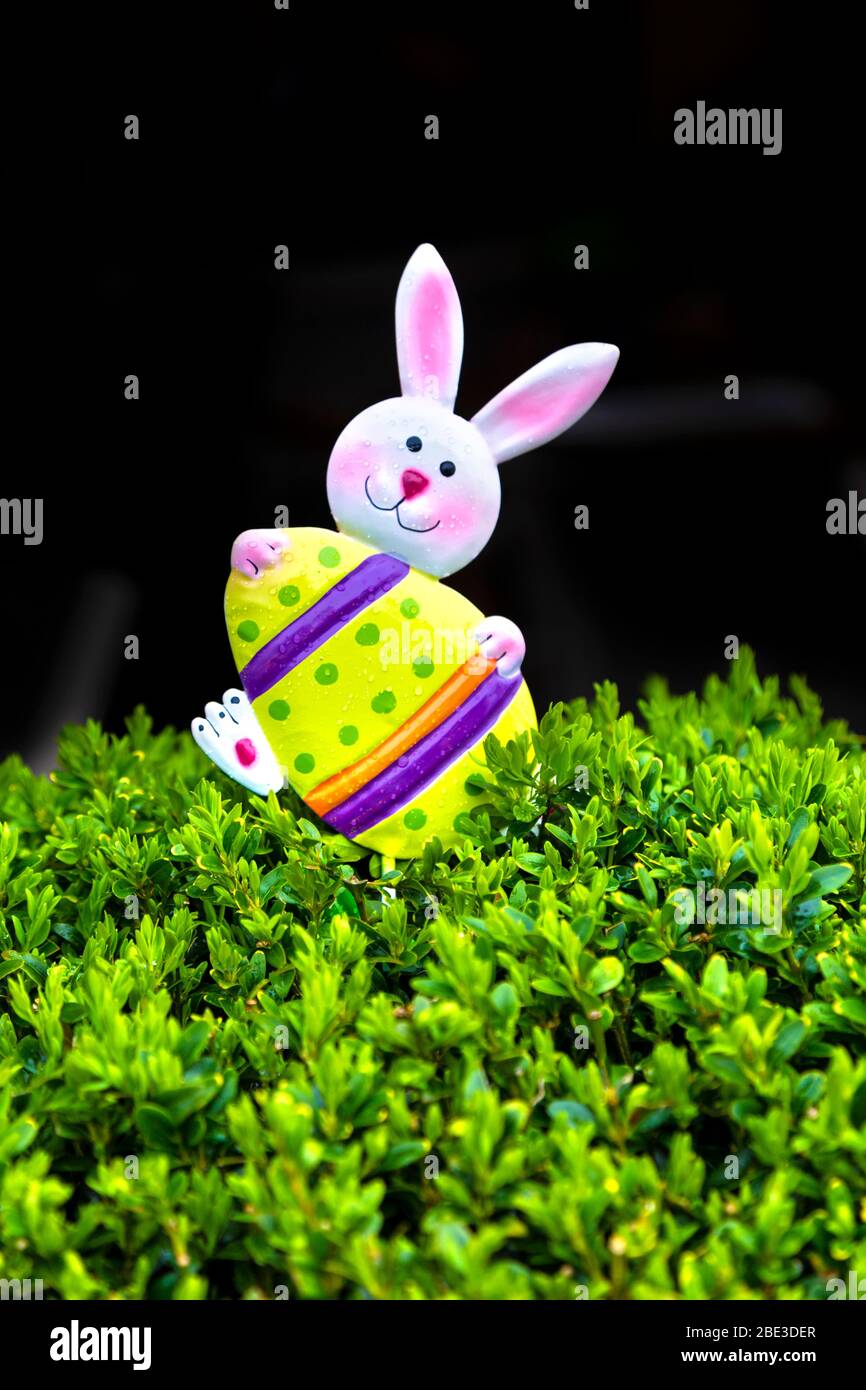 Coniglietto pasquale che tiene un uovo decorazione in una pianta Foto Stock