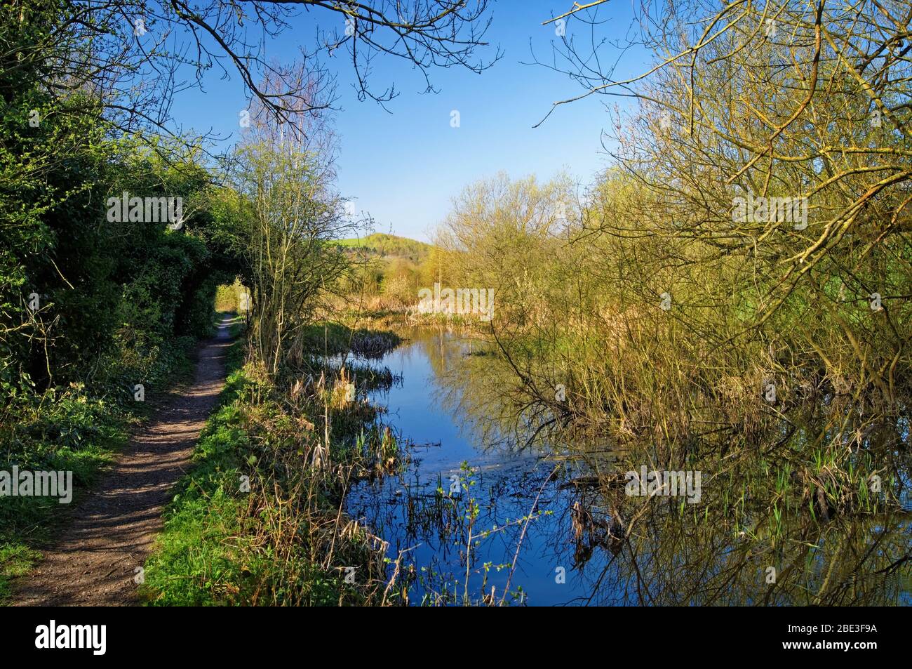 UK, South Yorkshire, Barnsley, Elsecar Canal e sentiero Foto Stock