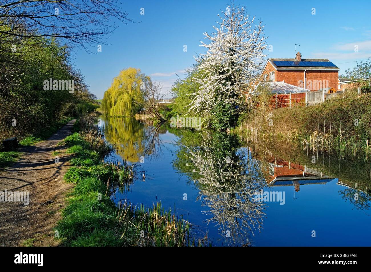 UK,South Yorkshire,Barnsley,Elsecar Canal e sentiero con fiore in piena fioritura Foto Stock