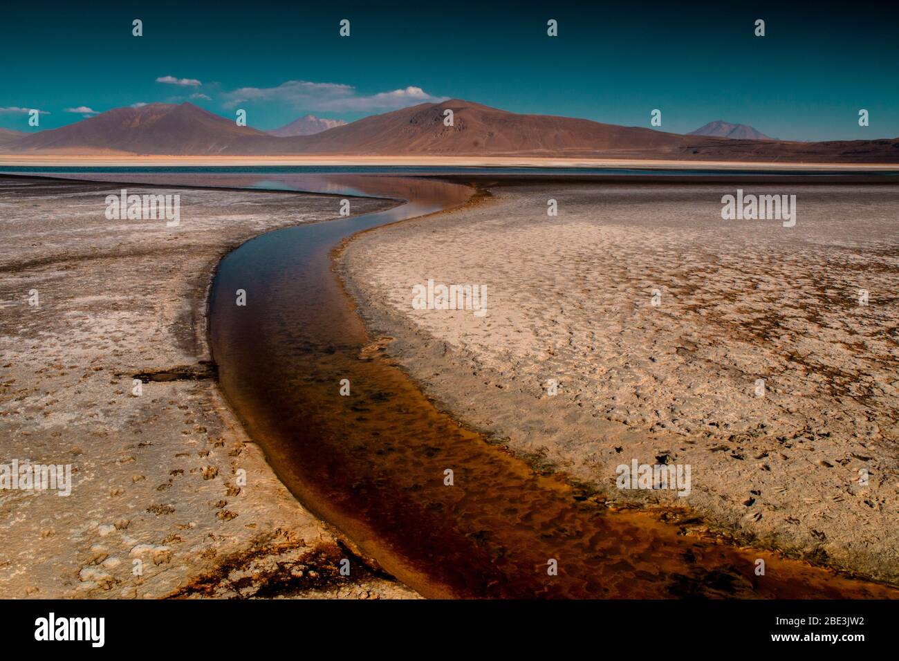 Salar de Carcote, Ollagüe, Cile Foto Stock