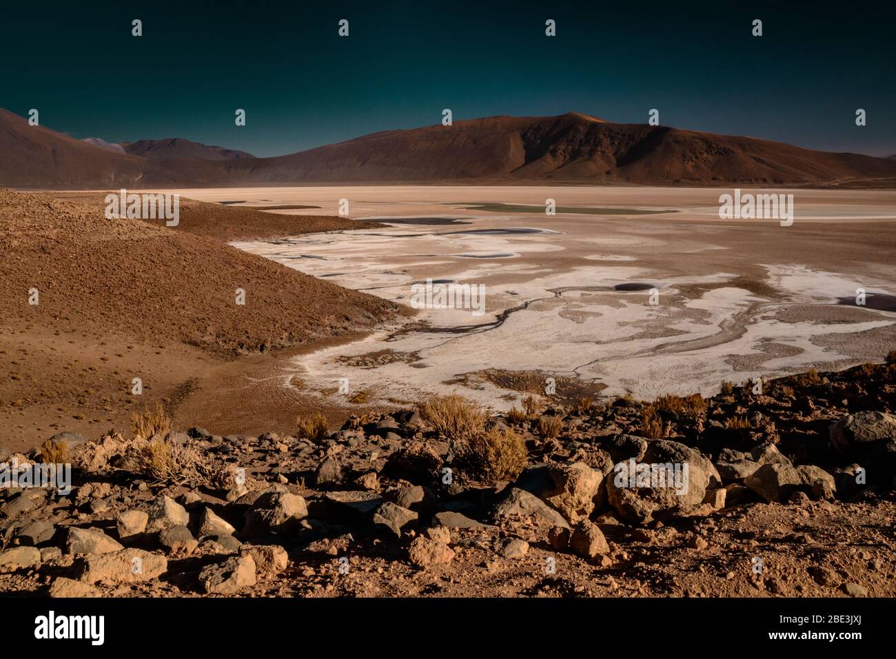 Salar de Carcote, Ollagüe, Cile Foto Stock