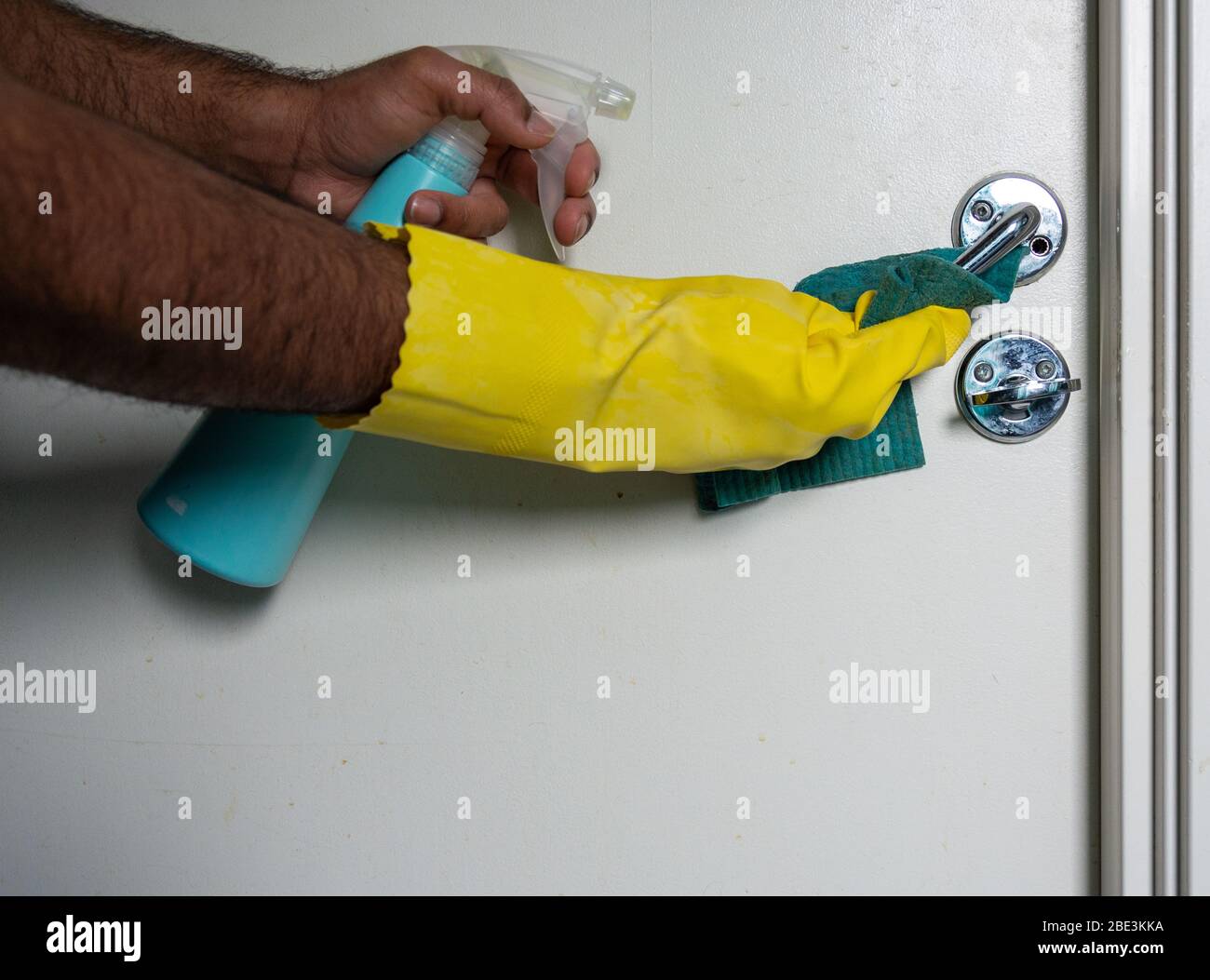 Pulizia con spray antibatterico a mano maschile indossando guanti gialli per evitare la diffusione di covid-19, Svezia Foto Stock