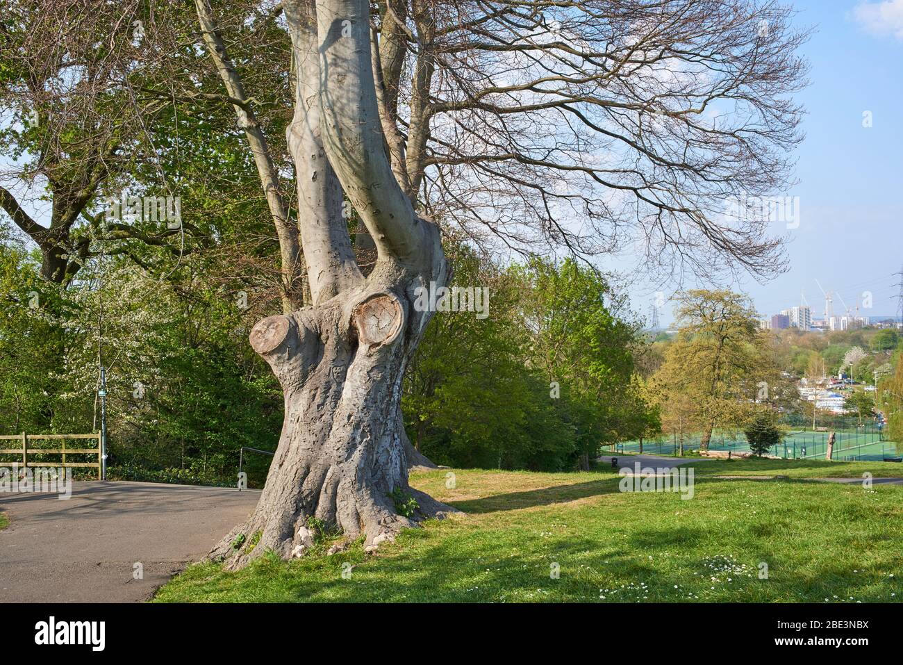 Springfield Park, Upper Clapton, North London UK, guardando verso la Lea Valley Foto Stock