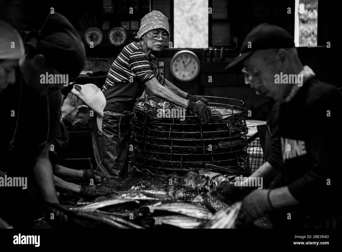 Quattro dipendenti della fabbrica Kanesa katsuobushi stanno smistando il pesce insieme a un grande banco da lavoro. Sopra di loro, un orologio a muro segna poco dopo le otto. Il cesto nikago, già pieno di filetti, è al centro. Nishiizu-cho, Prefettura di Shizuoka, Giappone. Foto Stock