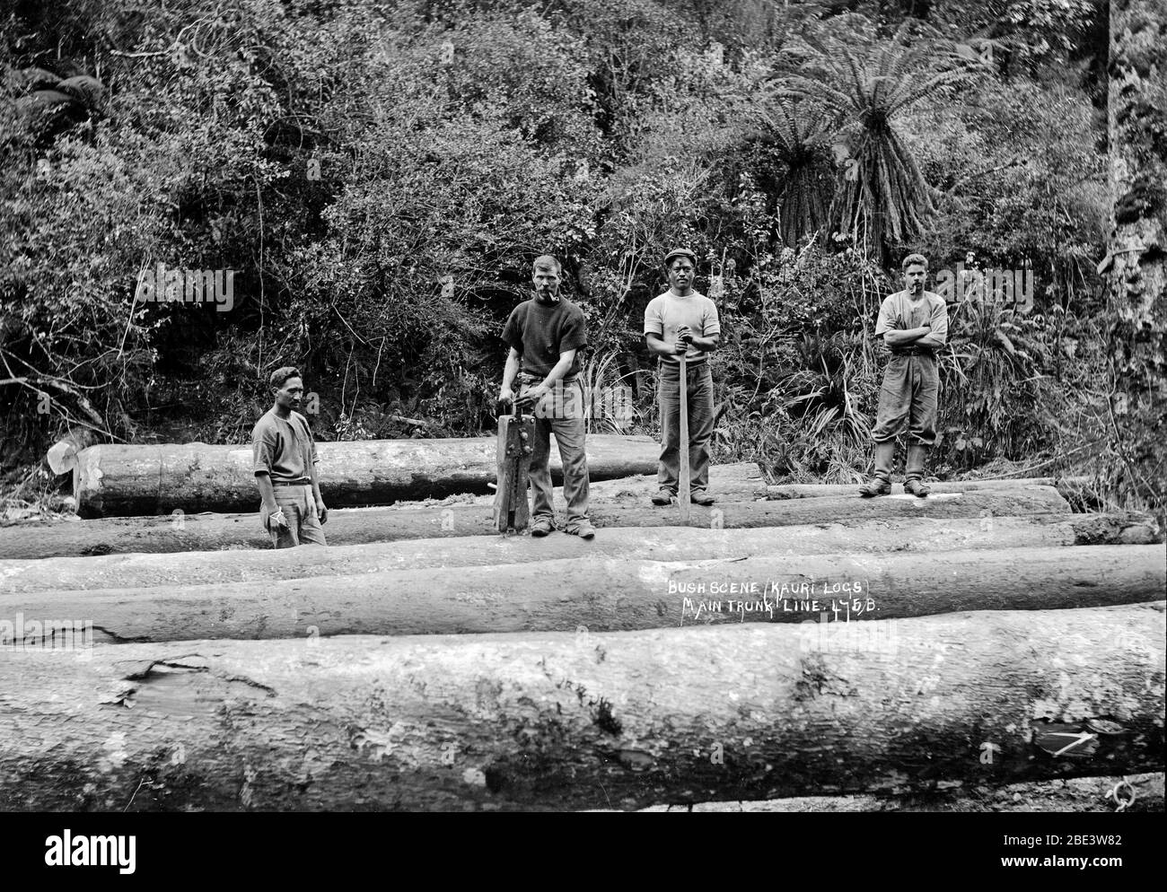 Gli uomini si trovano su un mucchio di tronchi di kauri mentre schiarendo il cespuglio per la linea ferroviaria principale della linea della linea della linea della linea della linea della linea della linea della linea della linea della linea della linea della linea della linea della linea della linea della linea della linea della linea della linea della linea della linea della linea della linea 1915 Foto Stock