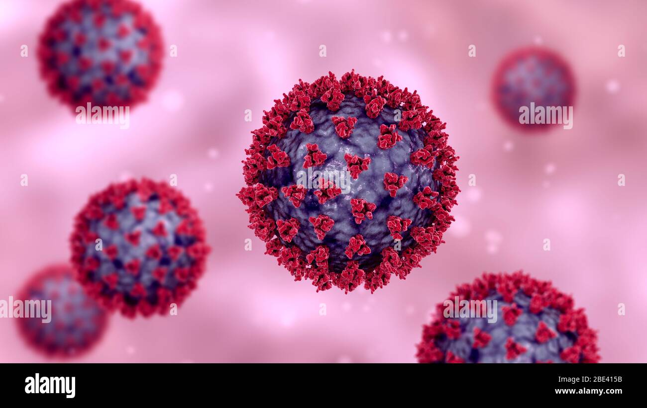 Particelle di coronavirus Covid-19, illustrazione. Il coronavirus SARS-cov-2 è stato identificato per la prima volta a Wuhan, in Cina, nel dicembre 2019. Si tratta di un virus dell'RNA (acido ribonucleico) con involucro. All'interno della membrana sono presenti proteine di picco (grandi sporgenze), proteine di membrana e proteine di involucro. SARS-cov-2 causa l'infezione respiratoria Covid-19, che può portare a polmonite fatale. A marzo 2020, il virus si è diffuso in molti paesi del mondo ed è stato dichiarato pandemico. Centinaia di migliaia di persone sono state infettate da decine di migliaia di morti. Foto Stock