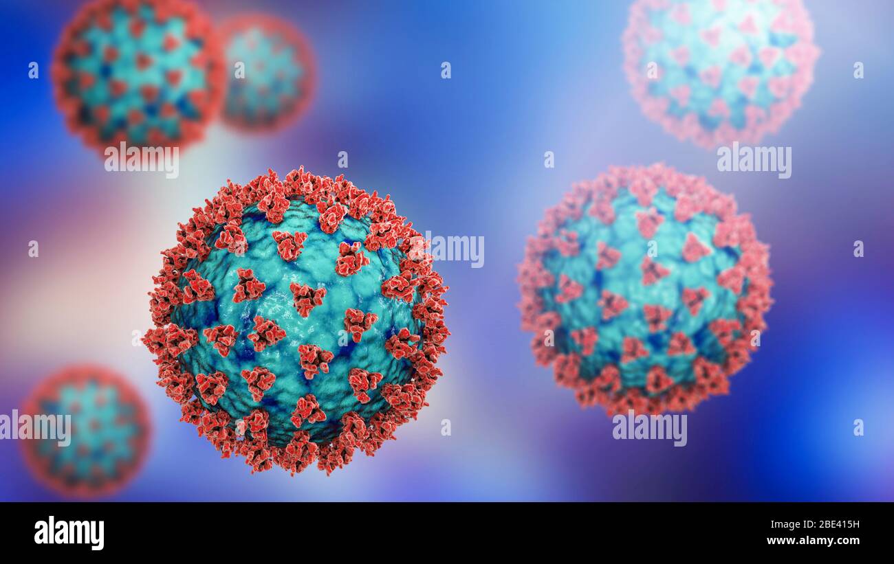 Particelle di coronavirus Covid-19, illustrazione. Il coronavirus SARS-cov-2 è stato identificato per la prima volta a Wuhan, in Cina, nel dicembre 2019. Si tratta di un virus dell'RNA (acido ribonucleico) con involucro. All'interno della membrana sono presenti proteine di picco (grandi sporgenze), proteine di membrana e proteine di involucro. SARS-cov-2 causa l'infezione respiratoria Covid-19, che può portare a polmonite fatale. A marzo 2020, il virus si è diffuso in molti paesi del mondo ed è stato dichiarato pandemico. Centinaia di migliaia di persone sono state infettate da decine di migliaia di morti. Foto Stock