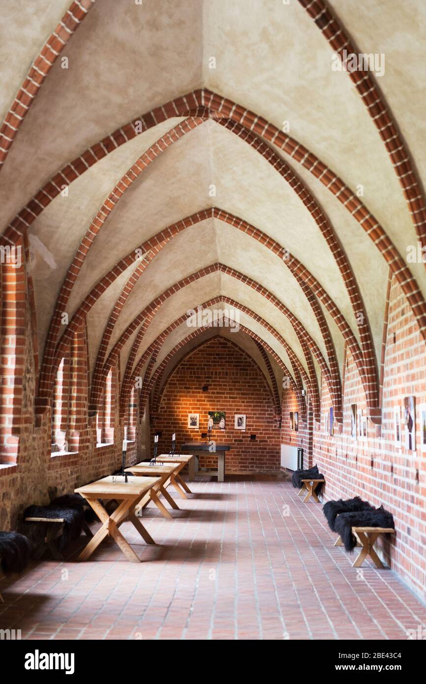 All'interno dell'Abbazia dei Greyfriars (Klostret i Ystad), un monastero medievale che ospita la Chiesa di San Pietro e il Museo di Storia Culturale di Ystad, Svezia. Foto Stock