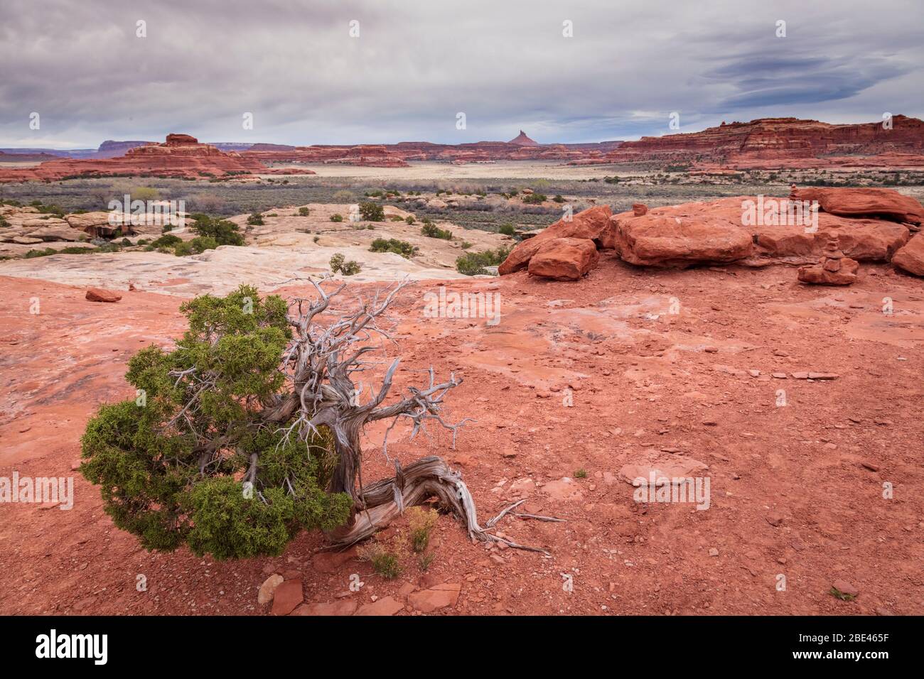 Il Parco Nazionale di Canyonlands, Utah Foto Stock