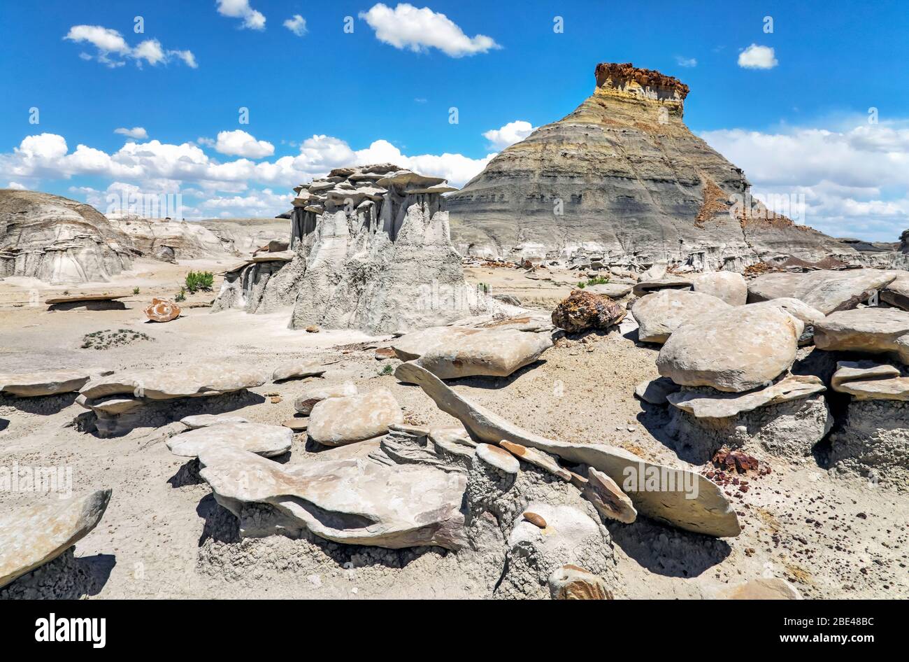 Formazioni rocciose uniche, Bisti Badlands, Bisti/De-Na-Zin Wilderness, San Juan County; New Mexico, Stati Uniti d'America Foto Stock