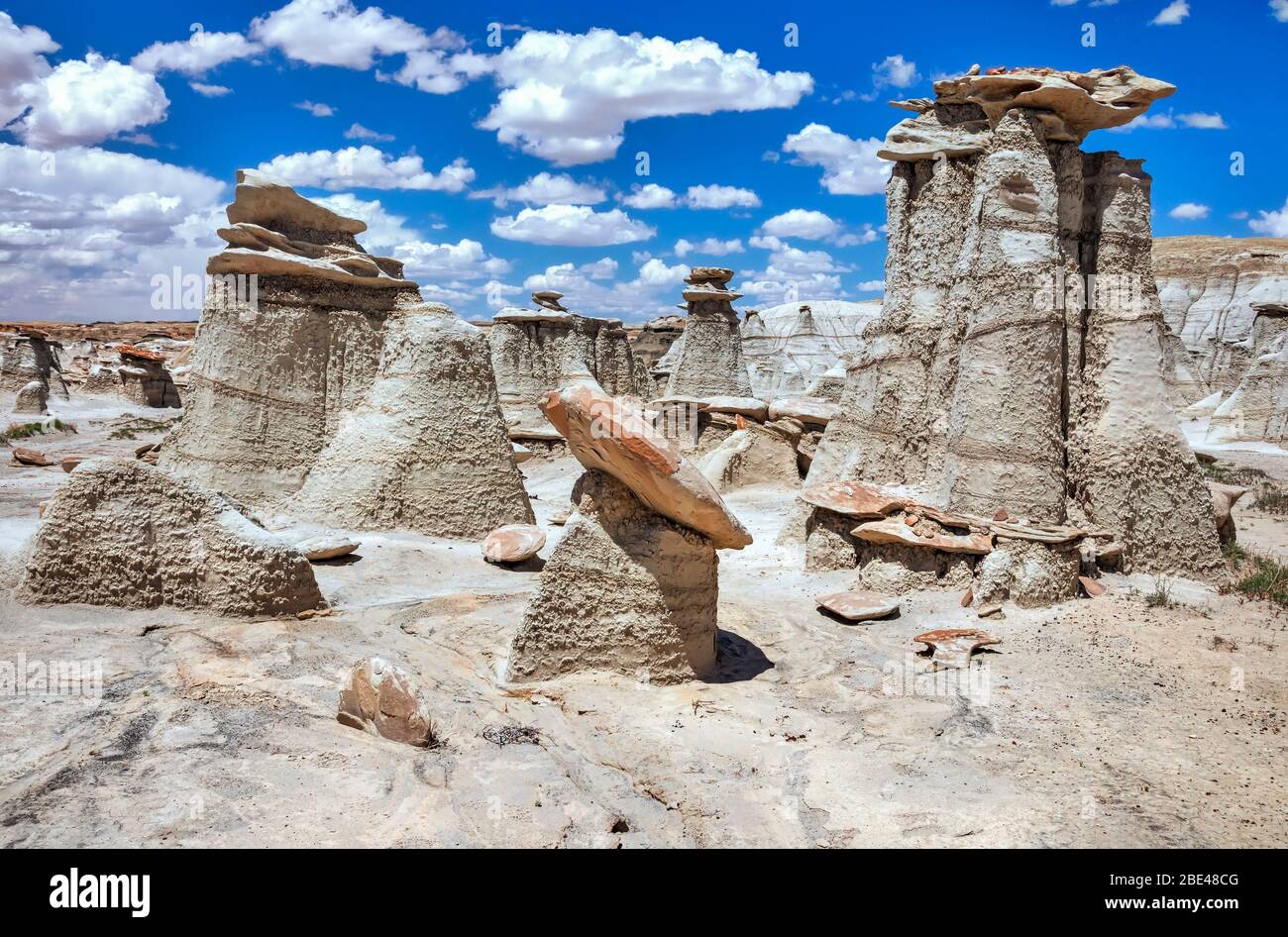 Formazioni rocciose uniche, Bisti Badlands, Bisti/De-Na-Zin Wilderness, San Juan County; New Mexico, Stati Uniti d'America Foto Stock