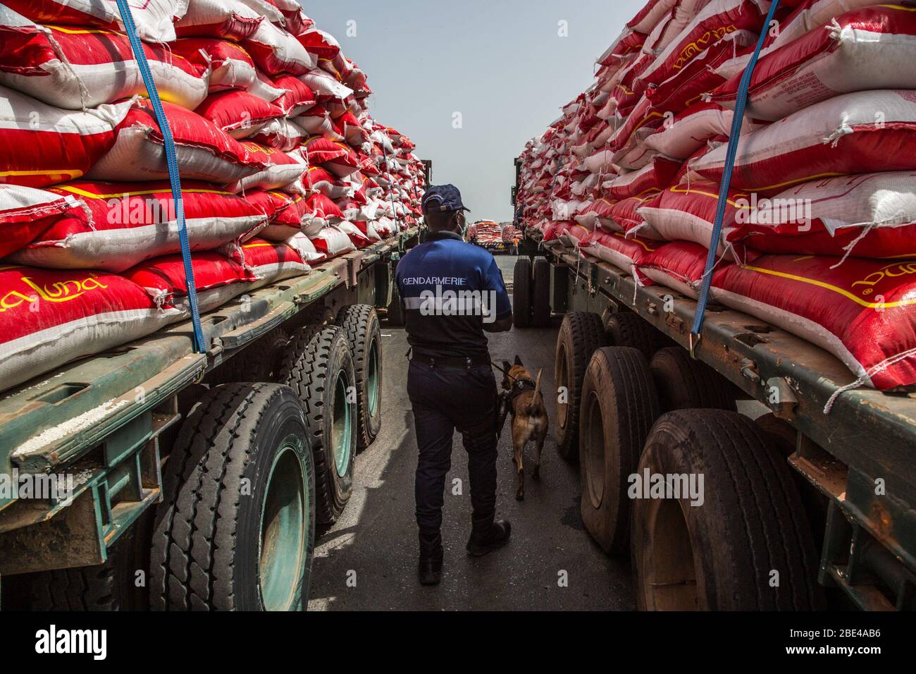 Dakar, Senegal. 11 Aprile 2020. Un gendarme e il suo cane di ricerca controllare i veicoli che trasportano cibo per le famiglie colpite da COVID-19 al Dakar Autonomous Port a Dakar, Senegal, 11 aprile 2020. Il Presidente senegalese Macky Sall ha lanciato sabato un'operazione di fornitura di cibo nelle regioni del porto autonomo di Dakar, nell'ambito dell'assistenza alle famiglie colpite dal COVID-19. Sall ha avviato il programma di emergenza alimentare con un bilancio di 69 miliardi di franchi CFA (circa 114 milioni di US Credit: Xinhua/Alamy Live News Foto Stock