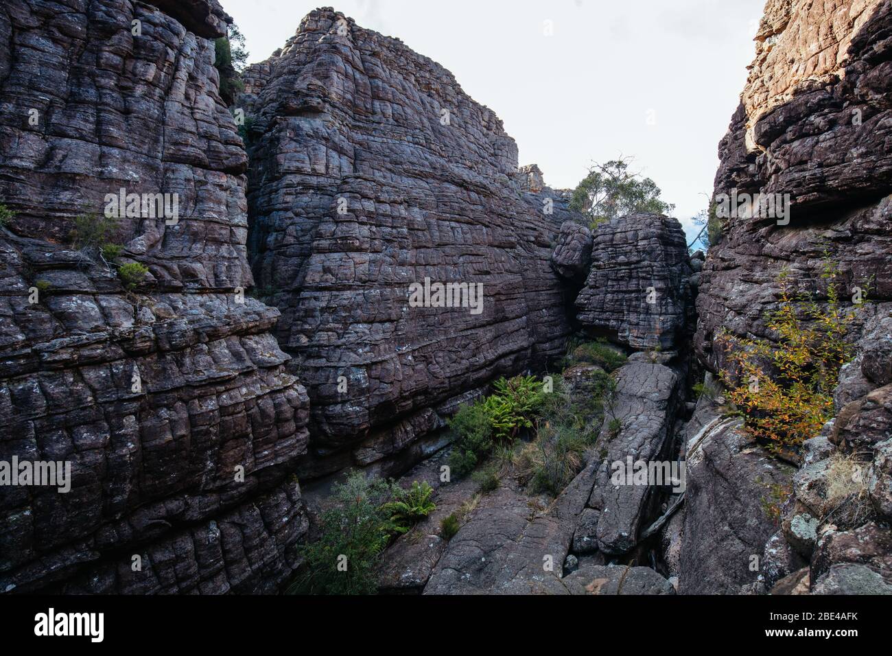 Escursione nelle meraviglie del Grampians Victoria Australia Foto Stock