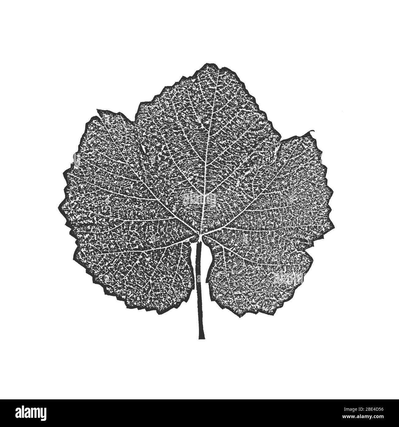 Foglie di albero di distress, texture del foglio illustrativo. Sfondo nero e bianco grunge. EPS8. Illustrazione del vettore. Illustrazione Vettoriale