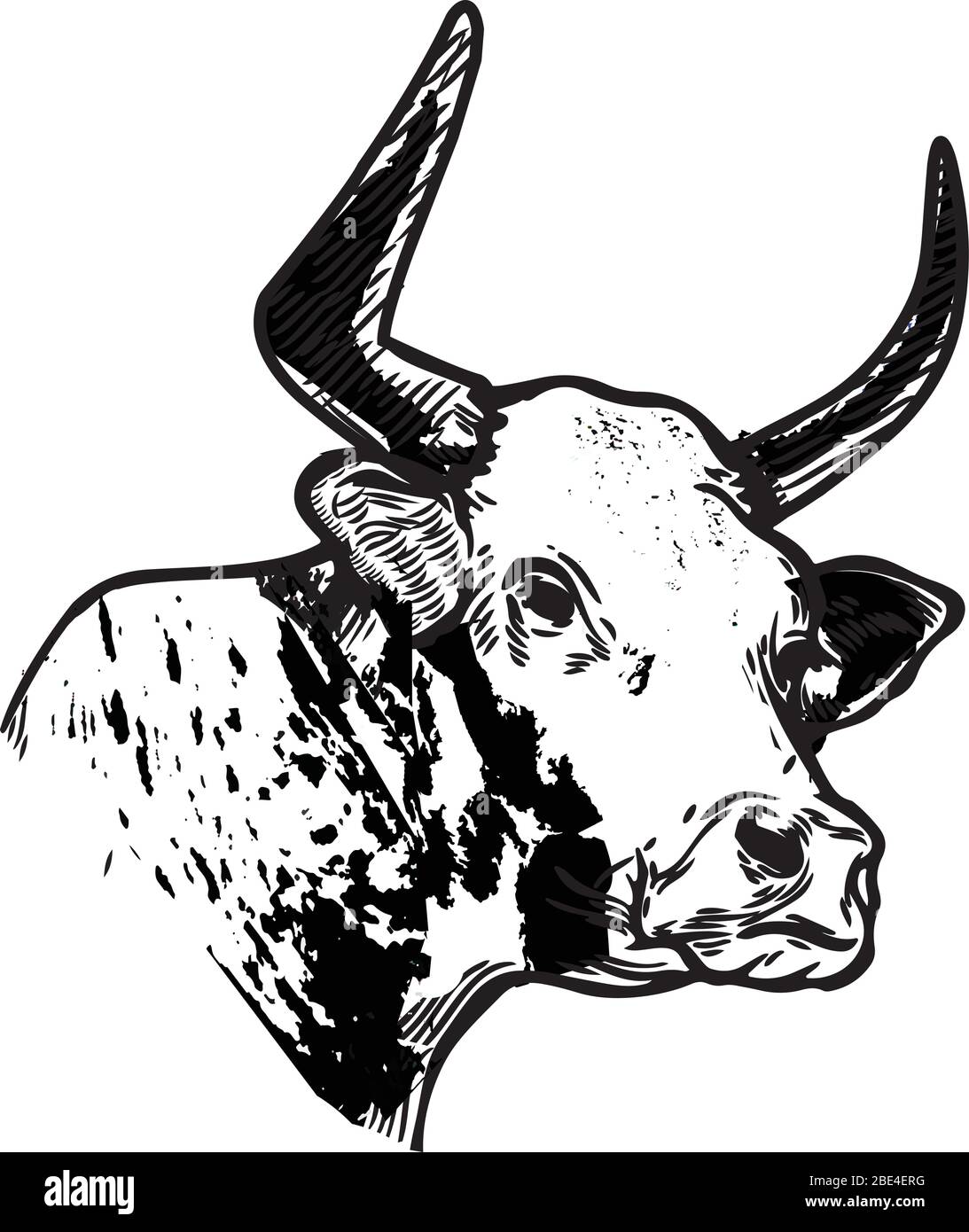 Illustrazione di mucca con texture in bianco e nero Illustrazione Vettoriale