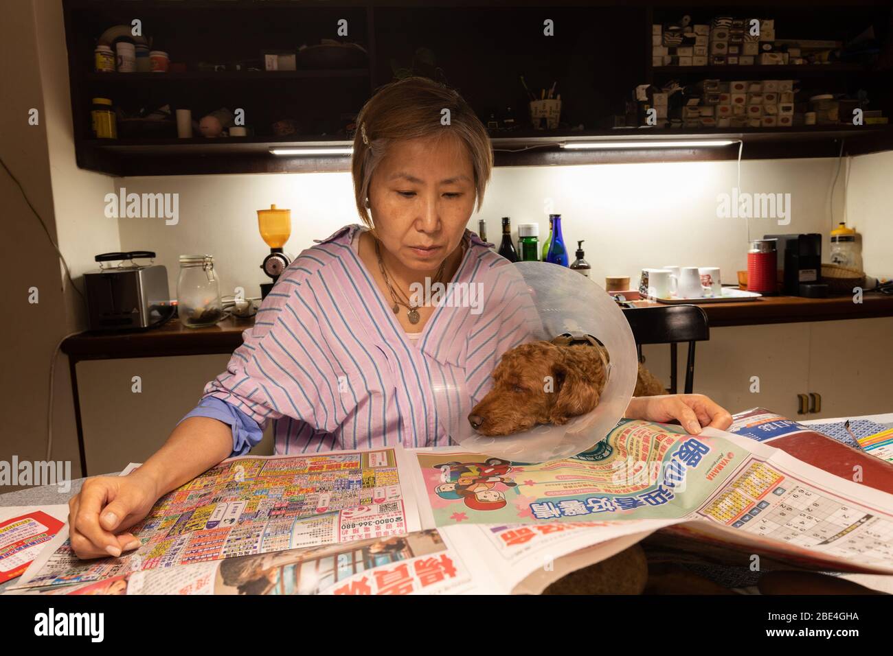 Vita di un proprietario di animale domestico - Taiwanese / donna cinese che legge la carta di mattina con il suo cane che porta un collare protettivo al suo lato. Foto Stock