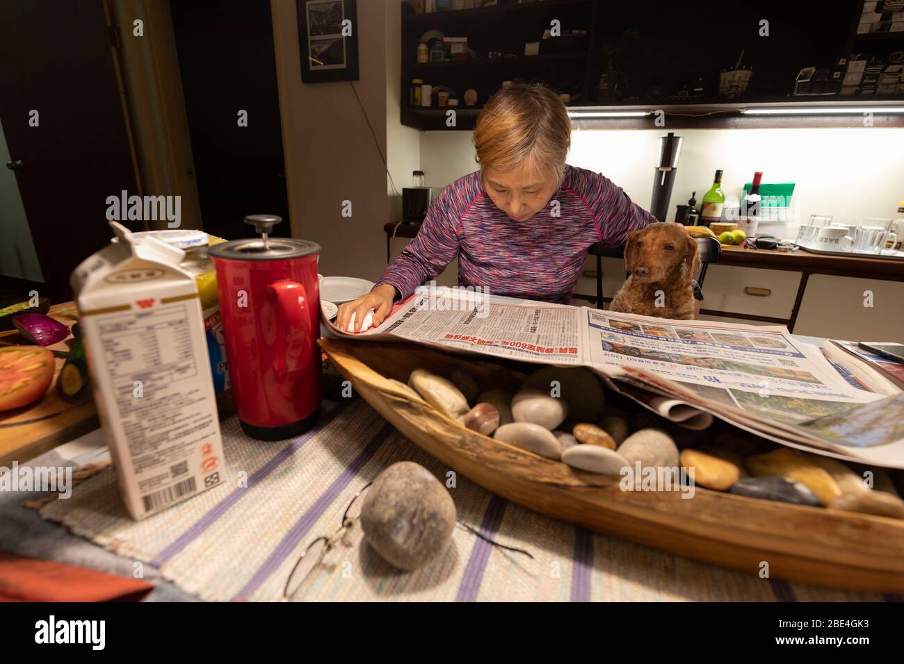 Vita di un proprietario di animale domestico - Taiwanese / donna cinese che legge il giornale di mattina con il suo cane al suo lato mentre fa colazione. Foto Stock