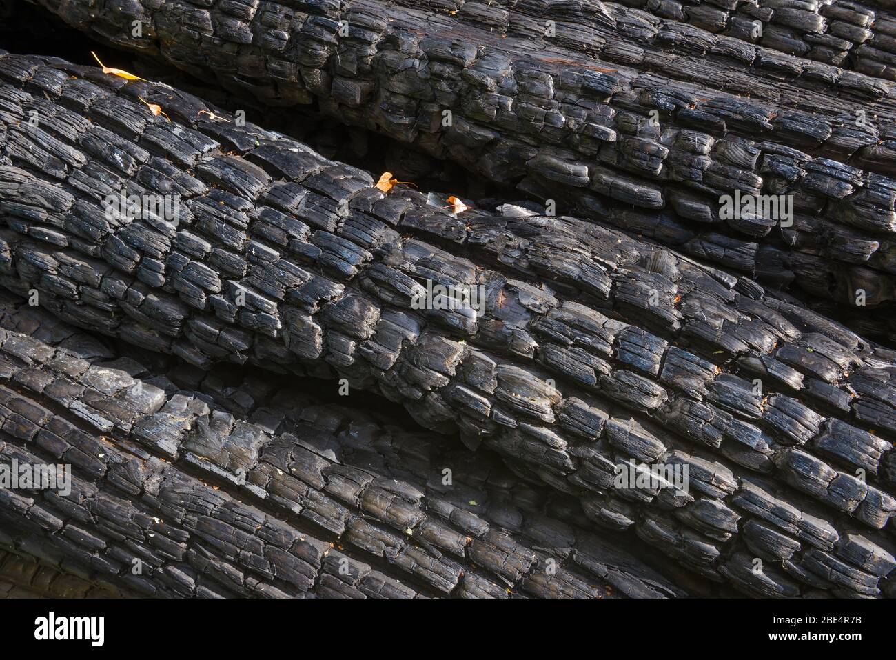 Struttura di muro di legno incantato Foto Stock