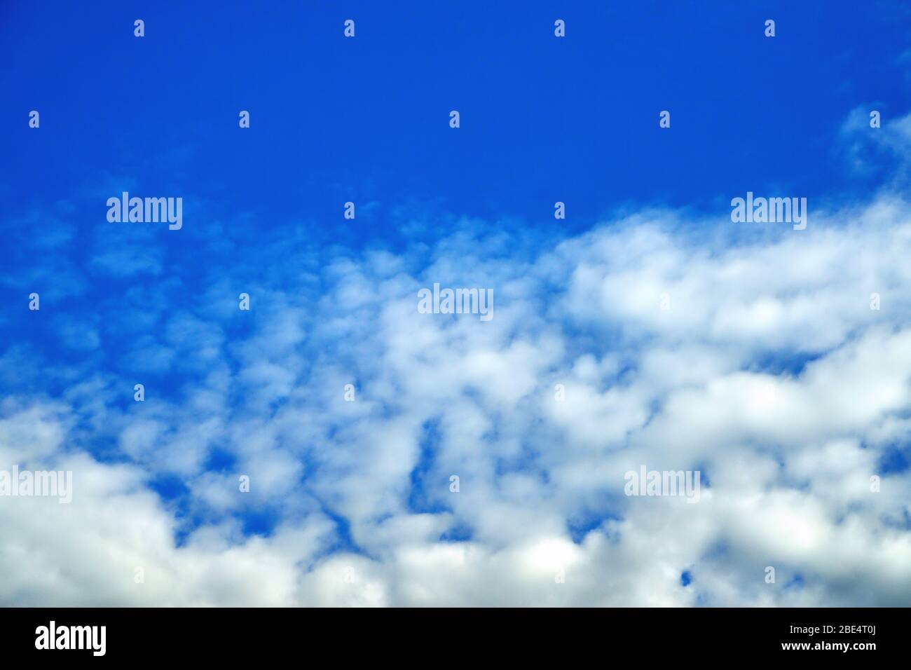 Nuvole sullo sfondo di un cielo blu brillante, primo piano giorno d'estate Foto Stock